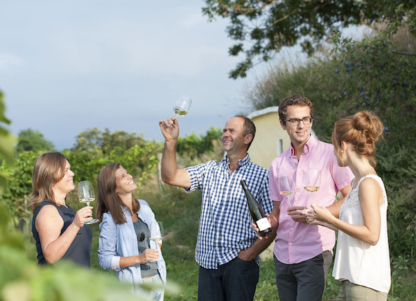 Weingut Jungmayr