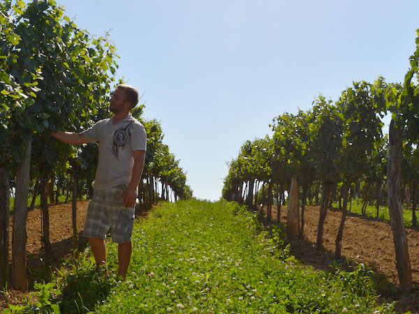 Weingut Resch