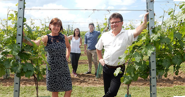 Familie Lang in ihrem Weingut