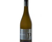 Grüner Veltliner Frizzante